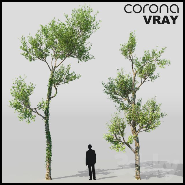 مدل سه بعدی گل و بوته - 1