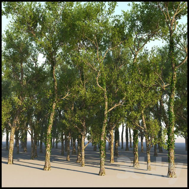 مدل سه بعدی گل و بوته - 11