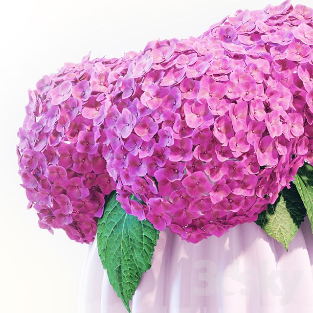 مدل سه بعدی گیاهان زینتی - 13