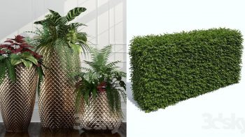 دانلود مدل سه بعدی گل و بوته