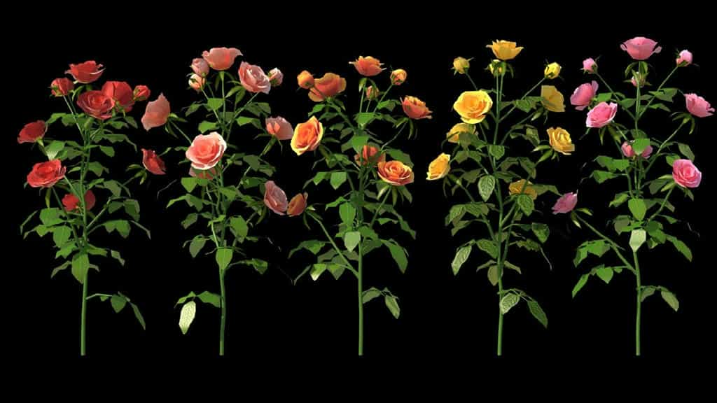 مدل سه بعدی گل - 3
