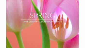 پریست مخصوص منظره و گل در لایت روم – Spring Lr Presets
