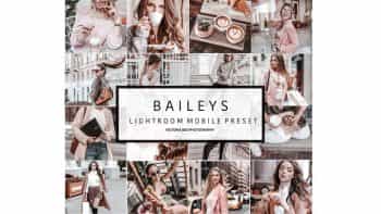 دانلود پریست لایت روم برای موبایل – NEW! Mobile Lightroom Preset BAILEYS