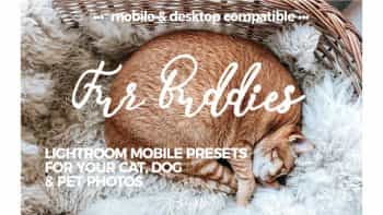 پریست ادیت عکس حیوانات خانگی در لایت روم – Fur Buddies – Cat, Dog, Pet Presets