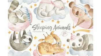 دانلود کلیپ آرت فانتزی حیوانات در خواب Sleeping Animals