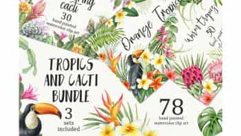 دانلود وکتور گل و گیاهان گرمسیری Tropical and cacti Bundle