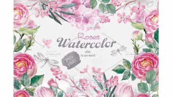 دانلود کلیپ آرت گل رز Fragrant roses