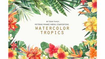 دانلود کلیپ آرت گل و گیاهان گرمسیری Watercolor Tropics