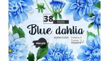 دانلود کلیپ آرت آبرنگی گل کوکب Blue dahlia watercolor PNG clipart