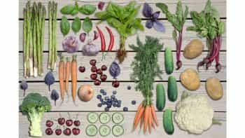 دانلود جعبه ابزار ساخت موکاپ سبزیجات Farmers Market Scene Generator