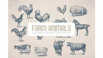 دانلود وکتور حیوانات مزرعه Vintage Farm Animals