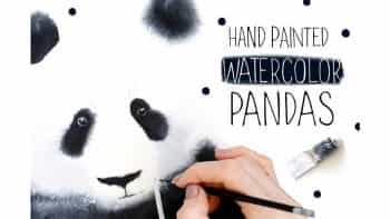دانلود کلیپ آرت پاندا Watercolor Pandas