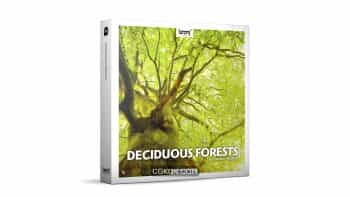 دانلود مجموعه افکت صوتی جنگل های Deciduous