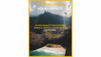 دانلود مجموعه افکت صوتی منطقه گرمسیری هاوایی TROPICAL HAWAII SOUND EFFECTS