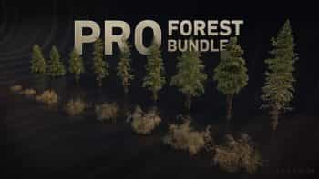 دانلود دارایی جنگل آماده PRO Forest Bundle
