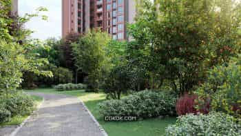 دانلود مدل سه بعدی درختچه و درخت از Maxtree – کالکشن 59