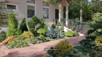 دانلود آبجکت گل و گیاه از Maxtree – کالکشن 63