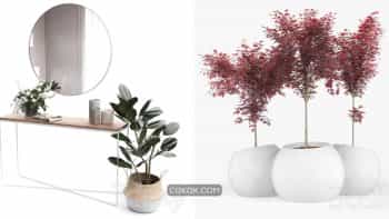 دانلود 82 مدل سه بعدی گل و گلدان از Pro 3DSky – مجموعه هفتم