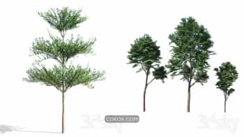 دانلود 60 مدل سه بعدی درخت از Pro 3DSky – مجموعه اول