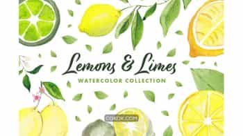 دانلود کلیپ آرت آبرنگی لیمو Lemons & Limes Watercolor Collection