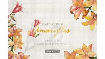 دانلود کلیپ آرت آبرنگی گل Amaryllis Watercolor png