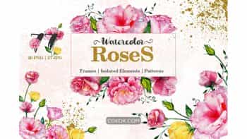 دانلود کلیپ آرت آبرنگی گل رز Roses Red Watercolor Png
