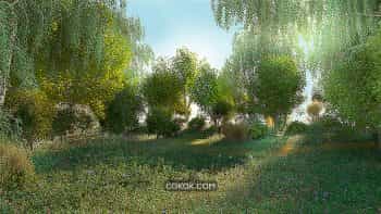 دانلود صحنه آماده جنگل برای سینمافوردی 3D Scene Forest Glade