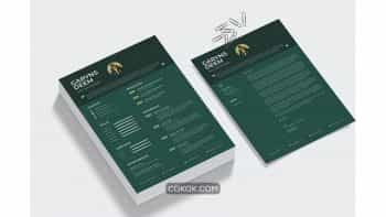 دانلود قالب آماده ورد رزومه Resume Word Template