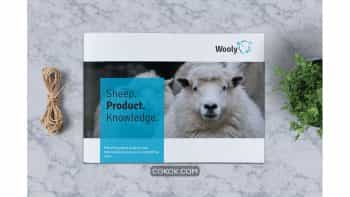 دانلود قالب ایندیزاین بروشور مزرعه گوسفند Sheep Farm Brochure A5