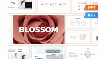 دانلود قالب پاورپوینت و کینوت Blossom Presentation Template