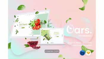 دانلود قالب لایه باز فروشگاه ارگانیک Oars – Organic Store , Smoothie Template