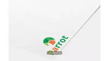 دانلود وکتور لوگو طوطی Parrot Logo Template