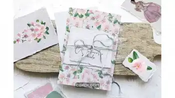 دانلود کلیپ آرت گل ارکیده Watercolor orchid flowers illustrations set