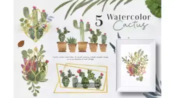 دانلود کلیپ آرت کاکتوس آبرنگی Ofi 5 Watercolor Cactus Graphic