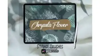 دانلود براش پروکریت گل Chrysalis Flower Brush Stamp Procreate
