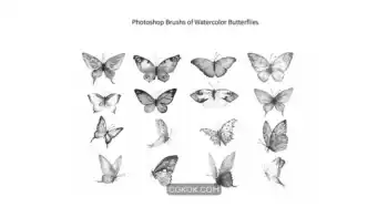 دانلود براش آبرنگ پروانه فتوشاپ Photoshop Brush Watercolor Butterflies ABR