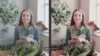 دانلود پریست رنگ کاکتوس Cactus Lightroom Presets and LUTs