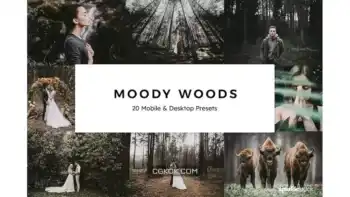 دانلود پریست رنگ Moody Woods Lightroom Presets & LUTs