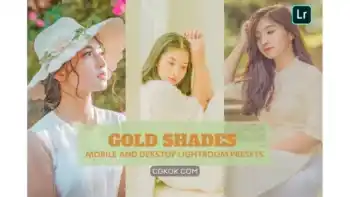 دانلود پریست لایت روم سایه طلایی Gold Shades Lightroom Presets Dekstop and Mobile
