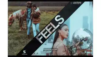 دانلود پریست لایت روم و فتوشاپ Feels Lightroom Presets