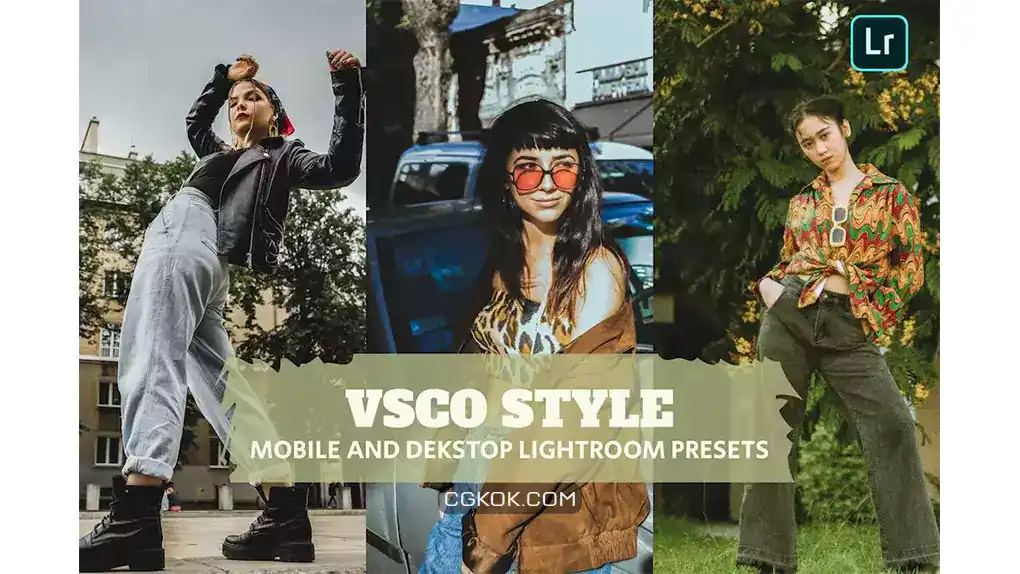 دانلود پریست لایت روم VSCO Style Lightroom Presets Dekstop and Mobile