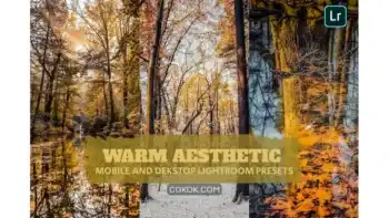 دانلود پریست لایت روم Warm Aesthetic Lightroom Presets Dekstop Mobile