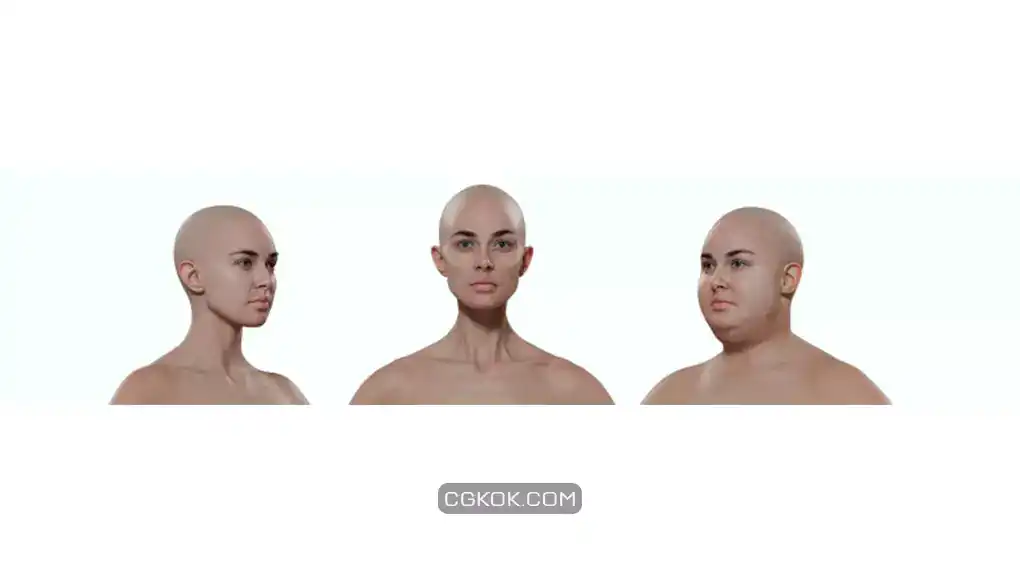 دانلود آبجکت مش پایه زن شکل پذیر