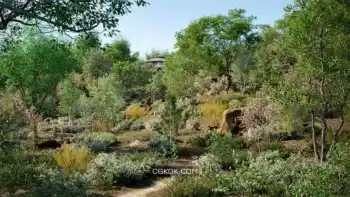 دانلود آبجکت گیاهان معتدل