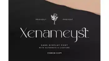 دانلود فونت انگلیسی Xenameyst – Sans Display Font