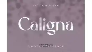 دانلود فونت انگلیسی مدرن Caligna