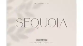دانلود فونت انگلیسی Sequoia Typeface