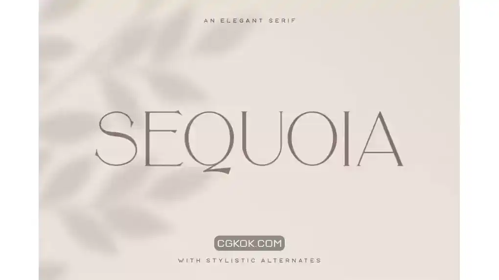 دانلود فونت انگلیسی Sequoia Typeface