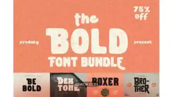 دانلود فونت بولد The Bold Font Bundle