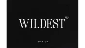 دانلود فونت انگلیسی کلاسیک Wildest – Classical Serif